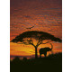 African Sunset Photo murale - 194 x 270 cm