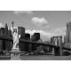 Statue of Liberty, photo murale, 360x254 cm, 4 parts