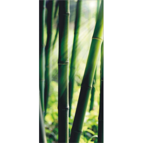 Bamboo, paper photo mural, 90x202 cm, 1 part