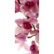 Vertical orchid, paper photo mural, 90x202 cm, 1 part