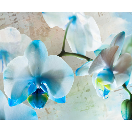 Blues flowers, photo murale intissée, 360x270 cm, 4 parts
