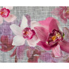 Orchids, photo murale intissée, 360x270 cm, 4 parts