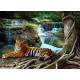 Tiger at waterfall, photo murale intissée, 155x110 cm, 1 part