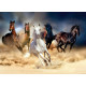 Horses, photo murale intissée, 155x110 cm, 1 part