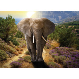 Elephant, photo murale intissée, 155x110 cm, 1 part