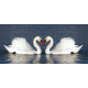 Swans, photo murale intissée, 202 x 90 cm, 1 part