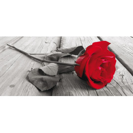 Red rose, photo murale intissée, 202 x 90 cm, 1 part