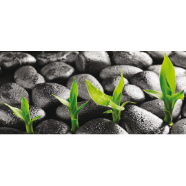 Bamboo on Stones, photo murale intissée, 202 x 90 cm, 1 part