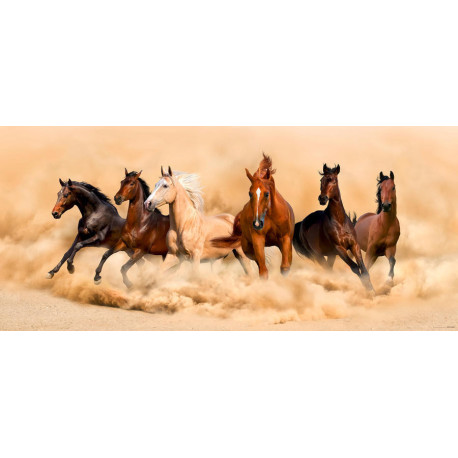 Horses, photo murale intissée, 202 x 90 cm, 1 part