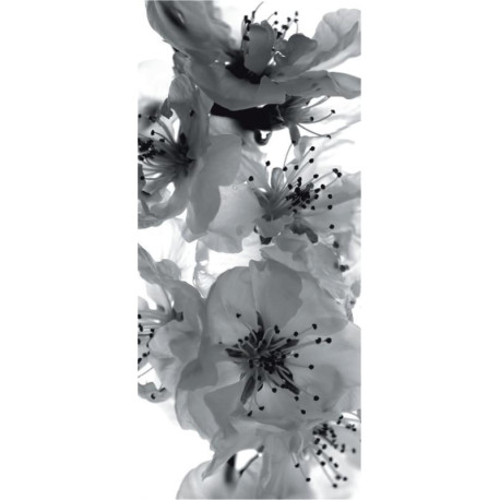 Black and white flower, intissé photo mural, 90 x 202 cm, 1 part