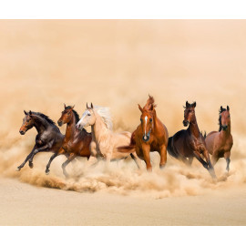 Horses, rideau imprimé 6 chevaux qui courent 280x245 cm, 2 parts