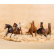Horses, rideau imprimé 6 magnifiques chevaux qui courent 280x245 cm, 2 parts