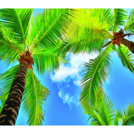 Palms, rideau imprimés palmiers et ciel bleu 180x160 cm, 2 parts