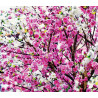 Flowers, rideau imprimés fleurs fushia et roses 180x160 cm, 2 parts