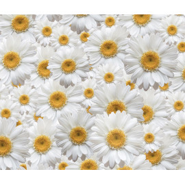 Flowers, Marguerite rideau imprimés Zoom sur de très grandes fleurs blanches et jaunes 180x160 cm, 2 parts