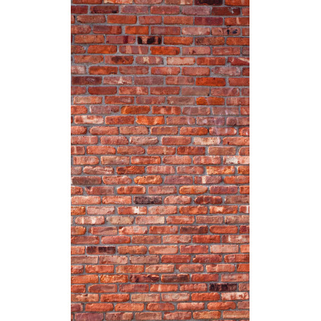 Red bricks, rideau imprimé Grand mur de briques rouge style hollandais 140x245 cm, 1 part