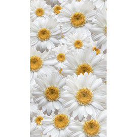 Flowers, rideau imprimé fleurs marguerite blanche et jaune 140x245 cm, 1 part