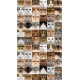 Cats, rideau imprimés visage de chats 140x245 cm, 1 part