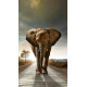 Rideau imprimé Grand éléphant de face 140x245 cm, 1 part