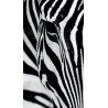 Zebra, rideau imprimé zoom sur un visage de zèbre 140x245 cm, 1 part