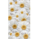 Flowers, rideau imprimé grandes fleurs blanche et jaune 140x245 cm, 1 part