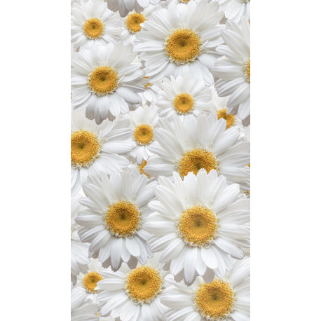 Flowers, rideau imprimé grandes fleurs blanche et jaune 140x245 cm, 1 part