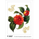 Red flower with golden elements, Grand sticker mural 65 x 85 cm