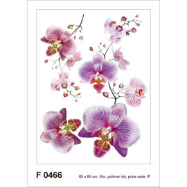 Sticker mural - Fleurs Roses - 65 x 85 cm