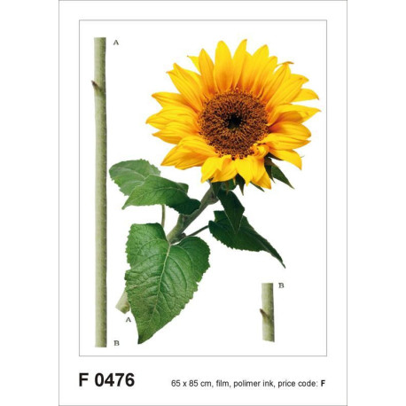 Sun flower, Grand sticker mural 65 x 85 cm