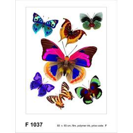 Sticker mural - Papillons Colorés - 65 x 85 cm