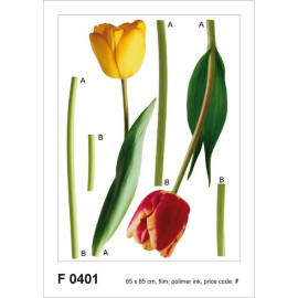 Sticker mural - 2 tulipes - 65 x 85 cm