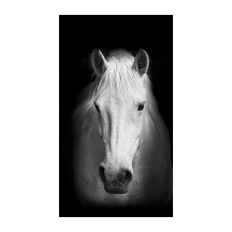 Horse, rideau imprimé 140x245 cm, 1 part