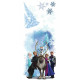 Stickers Personnages La Reine des Neiges Disney Frozen