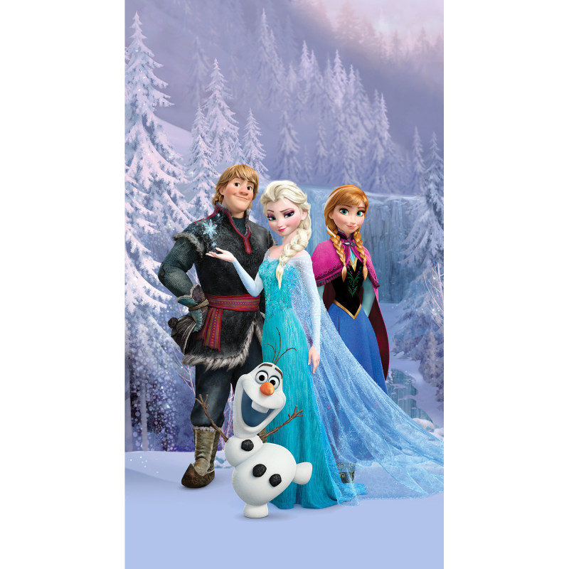 Poupée taille Barbie Elsa et Ana reine des neiges Disney