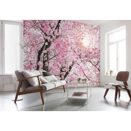 Photo murale - 400 x 260 cm - panoramique intissé - Bloom