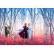 Papier peint photo la reine des neiges 2 Anna Elsa et ses amis dans la forêt Disney
