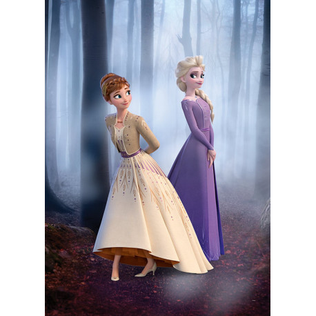 Poster Disney La Reine des Neiges 2 Anna et Elsa se promènent en forêt