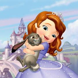Coussin Disney princesse Sofia face avant