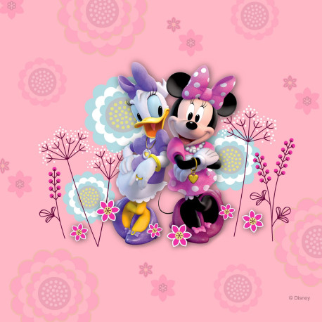 Coussin Disney Minnie et Daisy face avant