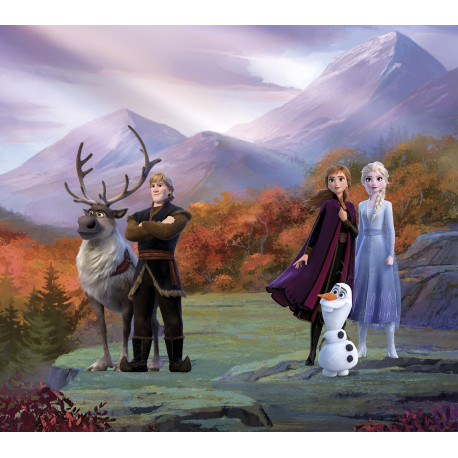 rideaux Disney La Reine des Neige 2 modèle dans la forêt 2 pièces 90x160cm motif complet