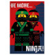 Plaid Lego Ninjago Be more