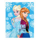 Plaid polaire Elsa et Anna Reine des Neiges Disney