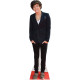 Figurine en carton taille réelle Harry Styles (Boyband) 166cm