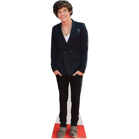 Figurine en carton taille réelle Harry Styles (Boyband) 166cm