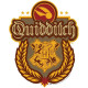 Blason en carton Jeu Quidditch Poudlard Harry Potter 61X50 CM