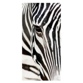 Zebra, Photo pour accrocher au mur faite en plexiglass 29 x 55 cm vertical