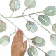 Stickers feuilles d'eucalyptus géant