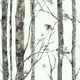Papier Peint auto-adhésif - Arbres Noir et Blanc - 52 x 502 cm