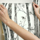 Papier Peint auto-adhésif - Arbres Noir et Blanc - 52 x 502 cm