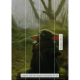 Poster XXL - impression numérique - "Mandalorian Bébé Yoda Grogu" acrylique - 200 cm - 280 cm